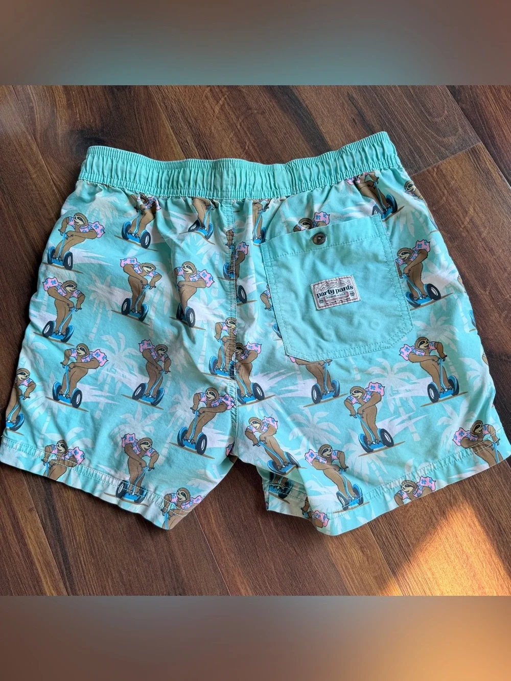 Party Pants Sloth Segway Men’s Unlined Shorts Small
